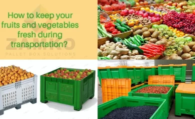 Which pallet boxes will keep your fruits and vegetables fresh during transportation? — Zam.webfactor.com