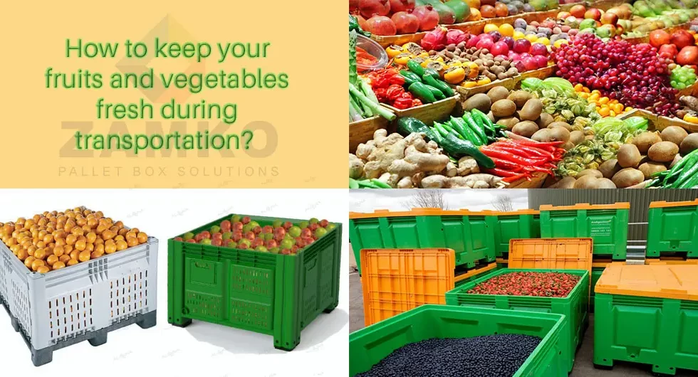 Which pallet boxes will keep your fruits and vegetables fresh during transportation? - Zamko B.V.